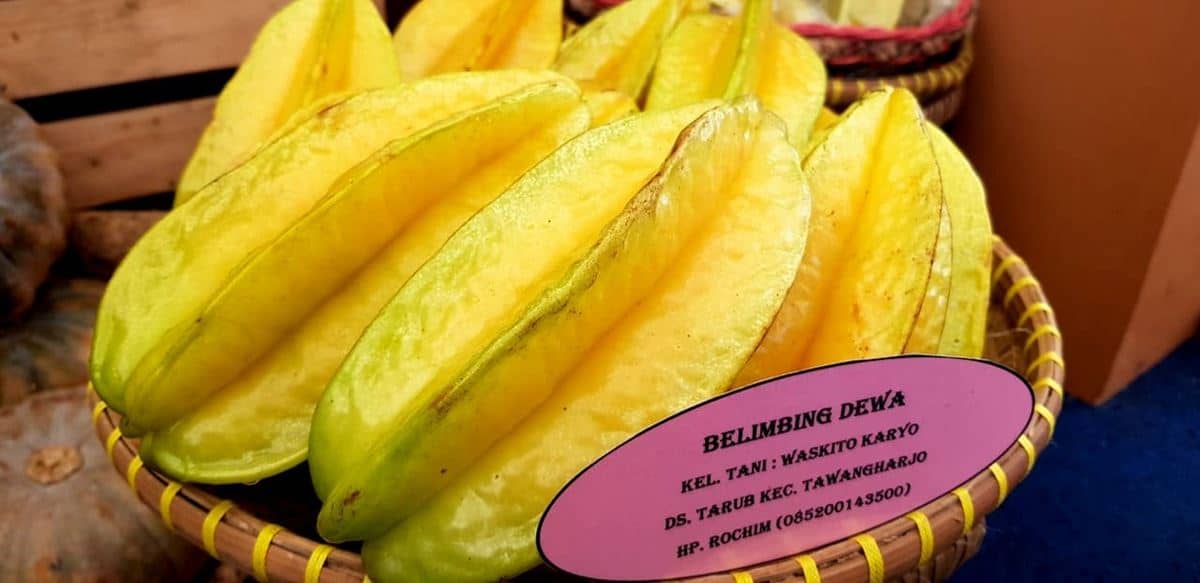 Belimbing Dewa, 1. Belimbing Dewa, 2. Dodol Belimbing, 3. Emping Melinjo, 4. Dodol Jambu Merah, 5. Jus Rumput Laut, 6. Nastar Belimbing, 7. Keripik Tempe, 8. Sirup Belimbing, 9. Biskuit Temma, 10. Jus Lidah Buaya