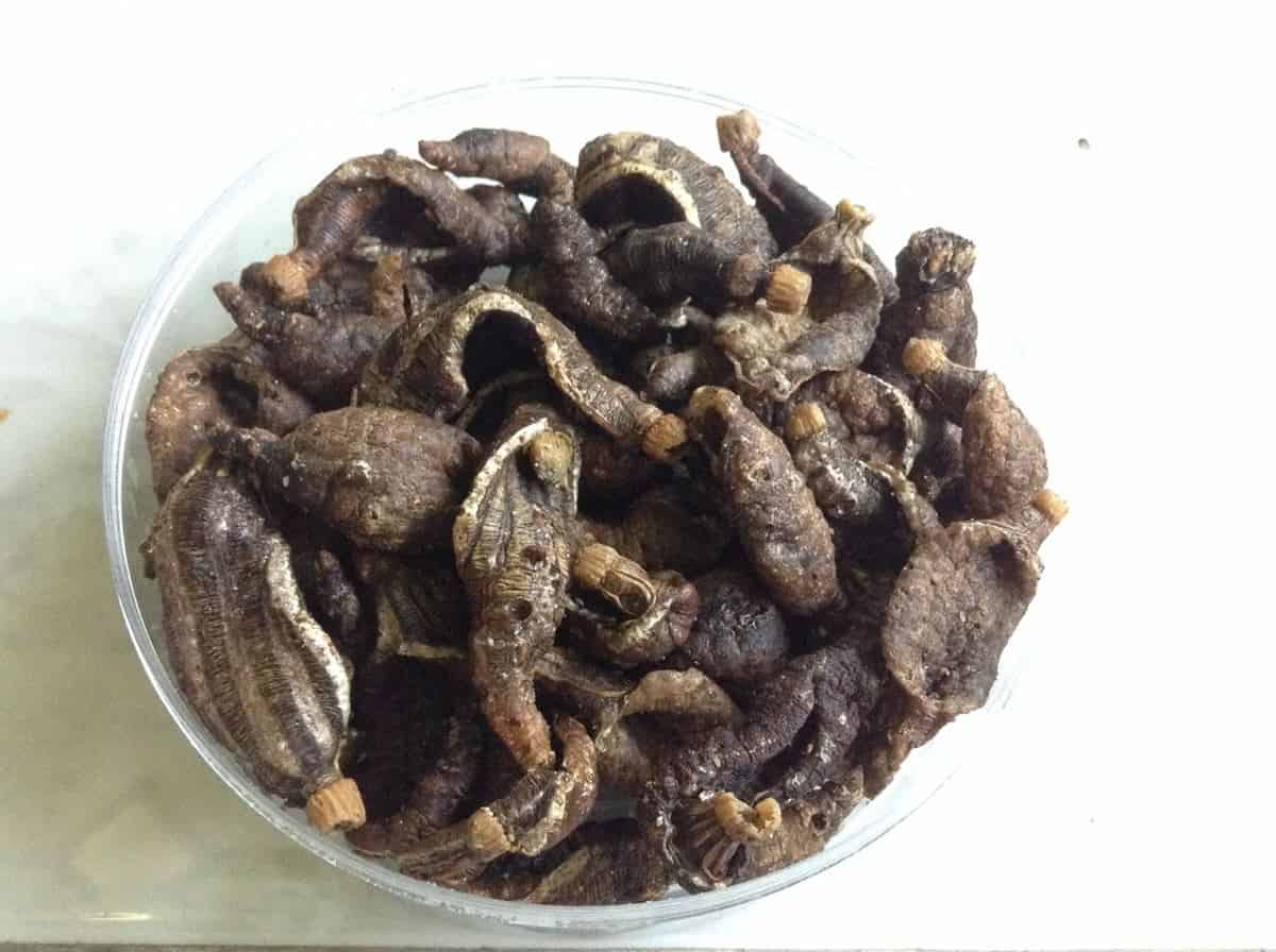 Keripik Teripang, 1. Kerupuk Udang, 2. Wader Crispy, 3. Terasi, 4. Tas dari Tanggulangin, 5. Bandeng Asap, 6. Telur Asin, 7. Ote-ote Porong, 8. Kue Lumpur, 9. Petis, 10. Keripik Teripang