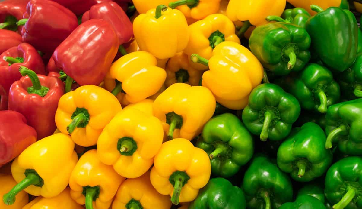 Paprika, 1. Daging Sapi, 3. Sosis, 4. Jamur, 5. Bawang Bombai, 6. Pepperoni, 7. Paprika, 8. Zaitun Hitam, 9. Tomat, 10. Jagung