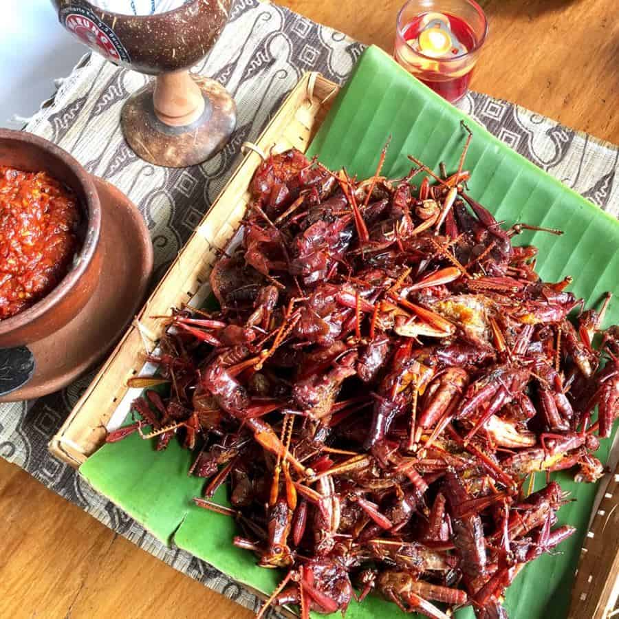 Walang Goreng, 1. Gudeg, 2. Krecek, 3. Sate Klatak, 4. Oseng-oseng Mercon, 5. Tiwul, 6. Walang Goreng, 7. Jadah Tempe, 8. Mie Pentil, 9. Angkringan, 10. Bakpia Pathuk