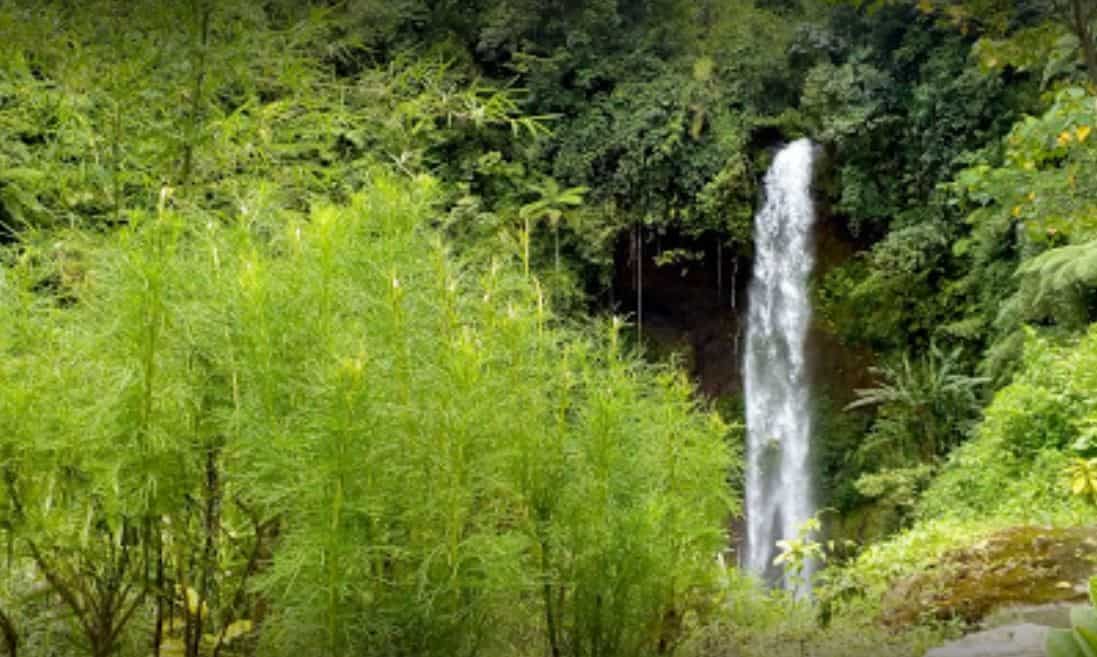curug badak, 1. Curug Dengdeng, 2. Curug Cimanintin, 3. Curug Ciparay, 4. Curug Batu Blek, 5. Curug Gado Bangkong, 6. Curug Badak, 7. Curug Sawer