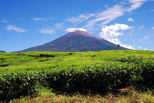 Gunung Kerinci, 1. Taman Nasional Komodo, 2. Taman Nasional Bunaken, 3. Taman Nasional Ujung Kulon, 4. Taman Nasional Tanjung Puting, 5. Taman Nasional Baluran, 6. Taman Nasional Kerinci Seblat, 7. Taman Nasional Lorenz, 8. Taman Nasional Wakatobi, 9. Taman Nasional Gunung Leuseur, 10. Taman Nasional Gunung Rinjani