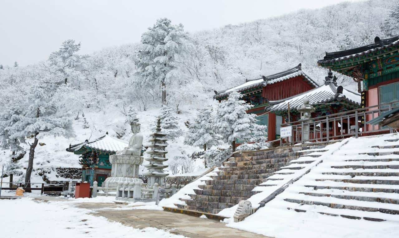 winter korea, 1. Berlibur pada Low Season, 2. Beli Tiket Jauh-Jauh Hari, 3. Tiket Transit, 4. Ikuti Travel Fair, 5. Ikuti Media Promosi Maskapai