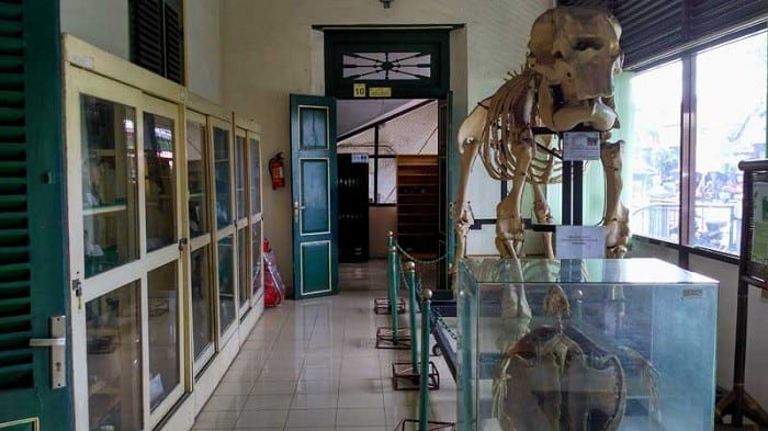 Museum Biologi (Copy), 1. Museum Affandi, 2. Museum Monumen Jogja Kembali (Monjali), 3. Museum Sonobudoyo, 4. Museum Benteng Vredeburg, 5. Museum Keraton Ngayogyakarta, 6. De Mata Trick Eye Museum, 7. Museum Biologi UGM, 8. Museum Batik Yogyakarta, 9. Museum Sandi, 10.Museum Gunung Merapi