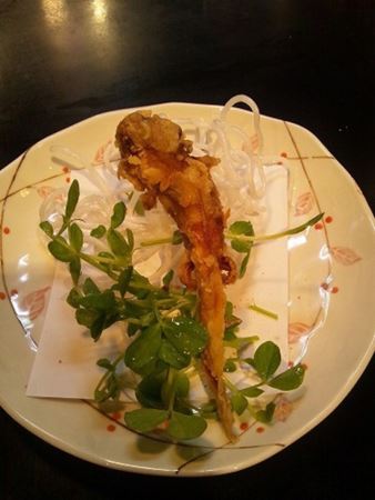 Axolotl Goreng, 1. Shirako, 2. Ikizukuri, 3. Axolotl Goreng, 4. Unko Curry, 5. Sushi Serangga, 6. Olahan Ikan Fugu, 7. Es Krim Rasa Ular, 8. Horumon, 9. Monjayaki, 10. Hachinoko