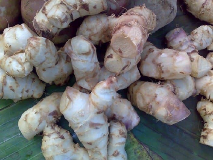1. Mi So, 2. Sego Megono, 3. Tauto, 4. Garang Asem Pekalongan (Megono), 5. Pindang Tetel, 6. Ganyong, 7. Kue Lumpang, 8. Capret, 9. Growol, 10. Apem Kesesi