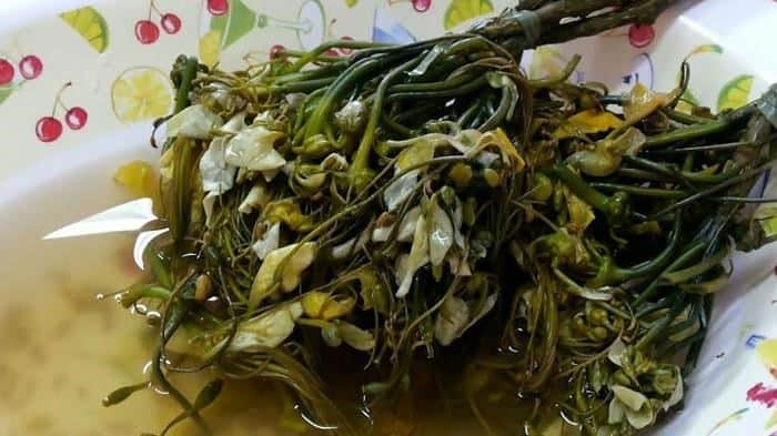 Sayur Kambang Tigarun, 1. Manday, 2. Bingka, 3. Dodol Kandangan, 4. Ketupat Kandangan, 5. Amparan Tatak Pisang, 6. Gangan Asam Banjar, 7. Sayur Kambang Tigarun, 8. Mi Bancir, 9. Patin Baubar, 10. Soto Banjar