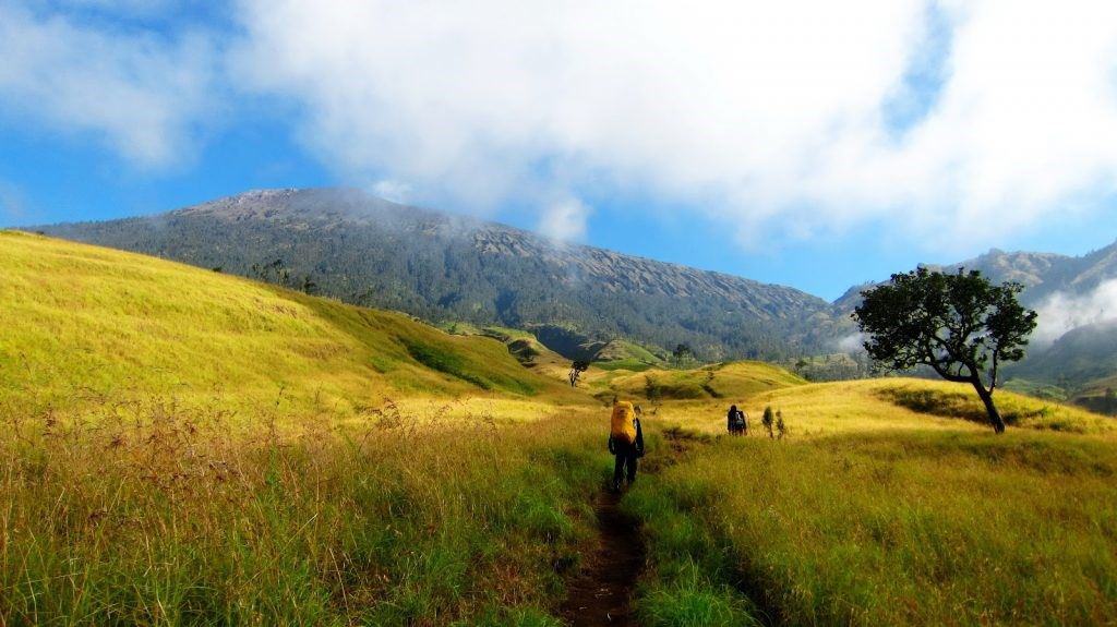Sembalun, 1. Padang Sabana di Gunung Bromo, 2. Sabana Bukit Teletubbies di Puncak Gunung Prau, 3. Taman Nasional Baluran, Afrika-nya Indonesia, 4. Sabana Cikasur, Gunung Argopuro, 5. Taman Nasional Alas Purwo, Surga di Banyuwangi, 6. Merbabu, Gunung dengan Luasnya Sabana, 7. Sembalun, Sabana Terbaik di Gunung Rinjani, 8. Hamparan Padang Rumput di Kawah Wurung Bondowoso, 9. Pulau Kenawa, Sabana dengan Bukit Menjulang, 10. Sabana Sumba Timur