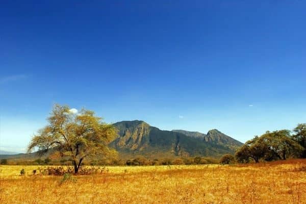 1. Padang Sabana di Gunung Bromo, 2. Sabana Bukit Teletubbies di Puncak Gunung Prau, 3. Taman Nasional Baluran, Afrika-nya Indonesia, 4. Sabana Cikasur, Gunung Argopuro, 5. Taman Nasional Alas Purwo, Surga di Banyuwangi, 6. Merbabu, Gunung dengan Luasnya Sabana, 7. Sembalun, Sabana Terbaik di Gunung Rinjani, 8. Hamparan Padang Rumput di Kawah Wurung Bondowoso, 9. Pulau Kenawa, Sabana dengan Bukit Menjulang, 10. Sabana Sumba Timur