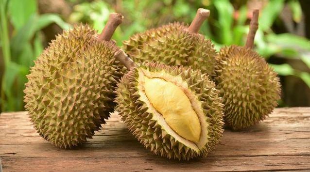durian majalengka, 1. Jalakotek, 3. Gula Cakar, 4. Tekso, 5. Kecap Majalengka, 6. Katel, 7. Intriwiling, 8. Ampas Kecap, 9. Durian Sinapeul, 10. Mangga Gedong Gincu