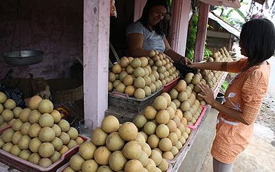 sawo citali, 1. Soto Bongko, 3. Emplod, 4. Oncom Pasir Reungit, 5. Ubi Cilembu, 6. Salak Bongkok, 7. Sawo Citali, 8. Kadedemes
