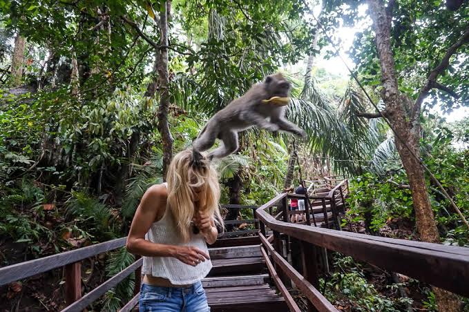 1. Pura Tirta Empul, 2. Rumah Topeng dan Wayang Setia Darma, 3. Bali Bird Park, 4. Air Terjun Tegenungan, 5. Pura Taman Saraswati, 6. Komaneka Art Gallery, 7. Ubud Monkey Forest, 8. Tanah Lot, 9. Pasar Seni Ubud, 10. Pantai Amed