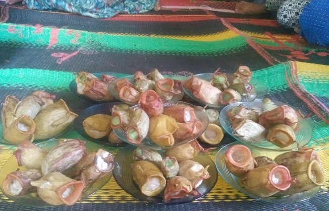 kue takik beruk jambi, 1. Cepak Kapung, 2. Kue Muso, 3. Yoda Kote, 4. Kue Putri Kandis, 5. Takik Beruk, 6. Kue Gandus, 7. Kue Kubang Boyo, 8. Bolu Kojo, 9. Kue Padamaran, 10. Kue Burgo, 11. Celokote