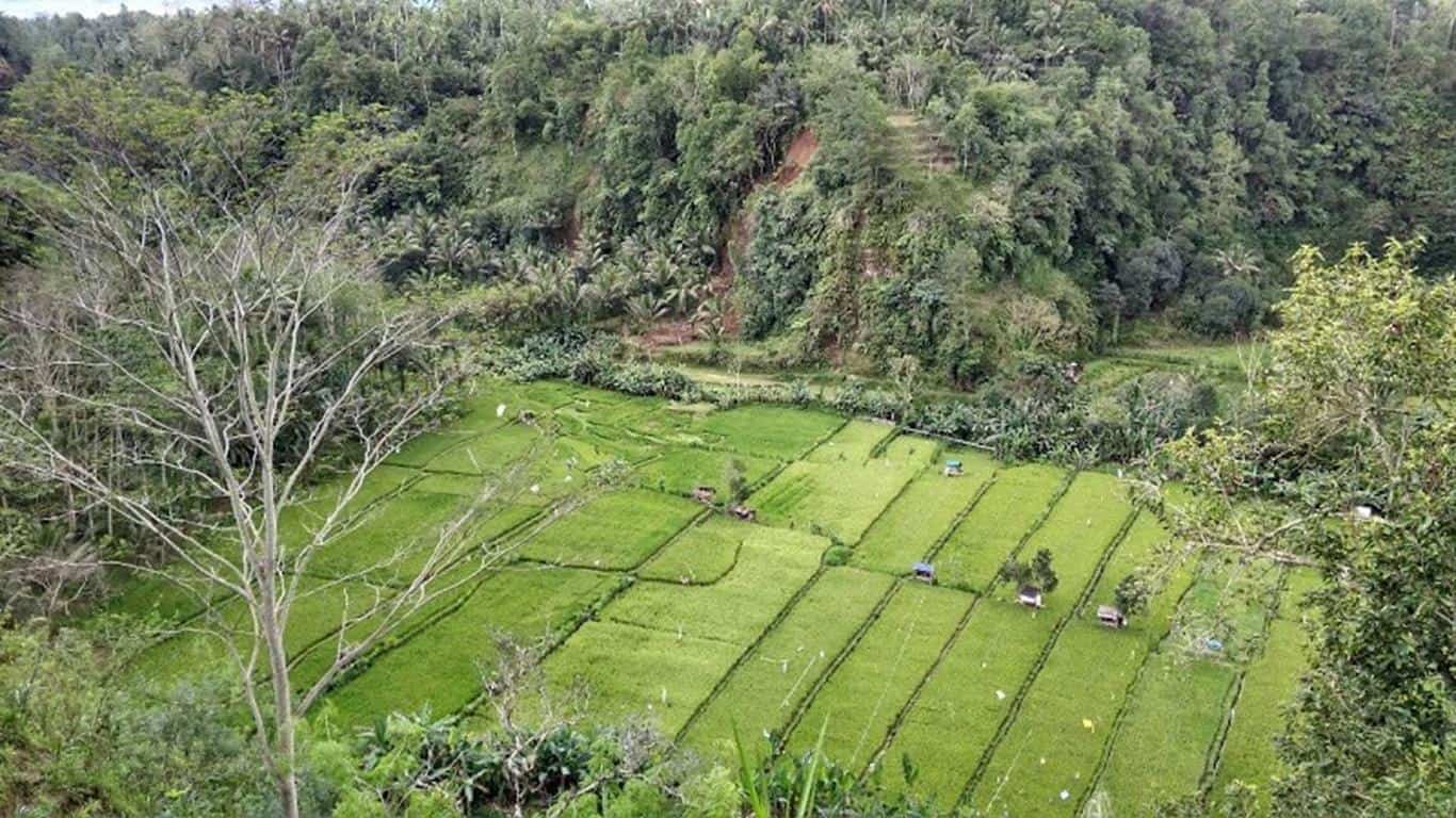 Lembah Pantunan (Copy), 1. Lembah Baliem, 2. Lembah Ramma, 3. Lembah Kidang, 4. Ngarai Sianok, 5. Lembah Bukit Pangonan Dieng, 6. Lembah Bada, 7. Lembah Pantunan, 8. Lembah Sindoro, 9. Lembah Anai, 10. Lembah Harau