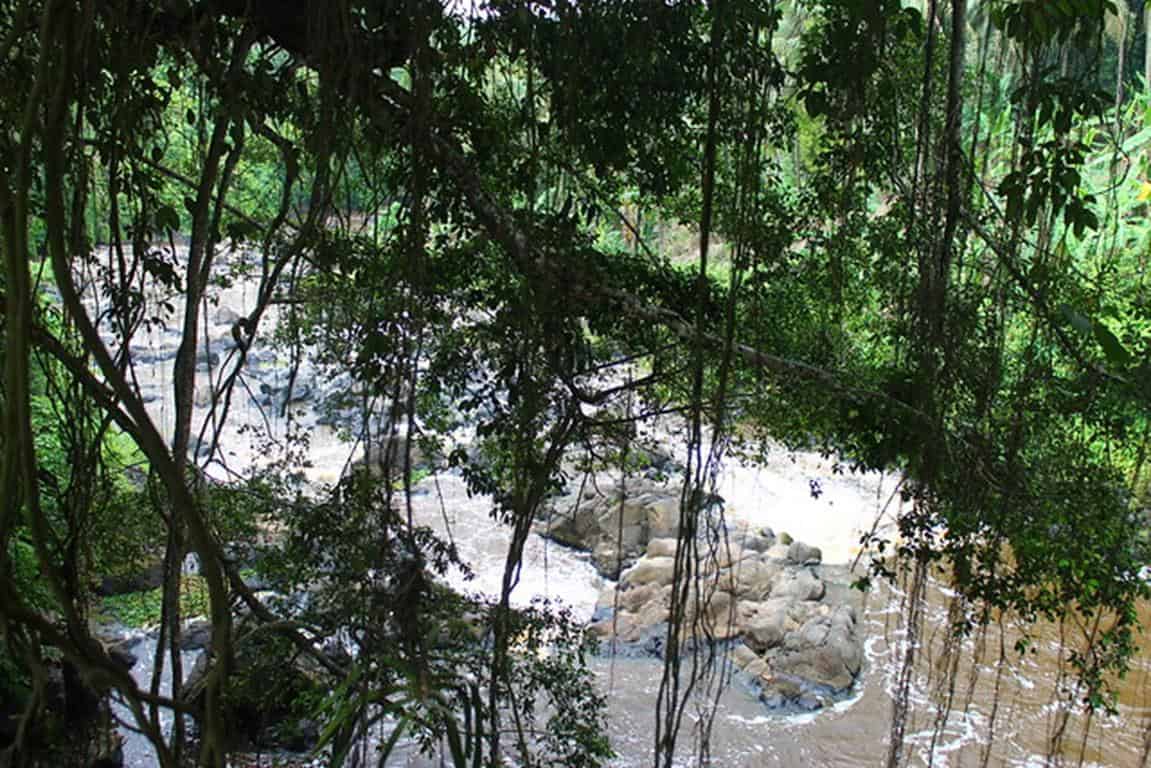 curug betung (Copy), 1. Curug Putri, 2. Curug Lawang, 3. Curug Ciporolak, 4. Curug Cigumawang, 5. Curug Cihear, 6. Curug Sawer, 7. Curug Betung, 8. Curug Cikotak, 9. Curug Kembar, 10. Curug Leuwi Tomo
