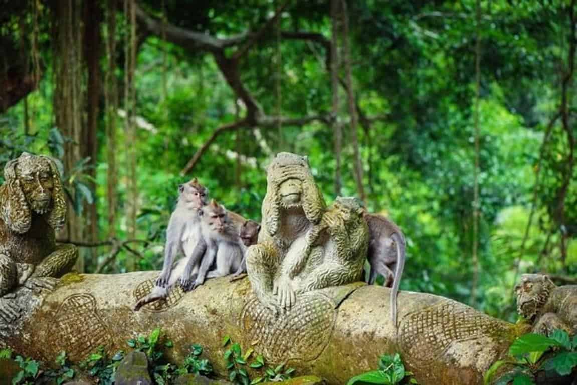 Monkey Forest Ubud