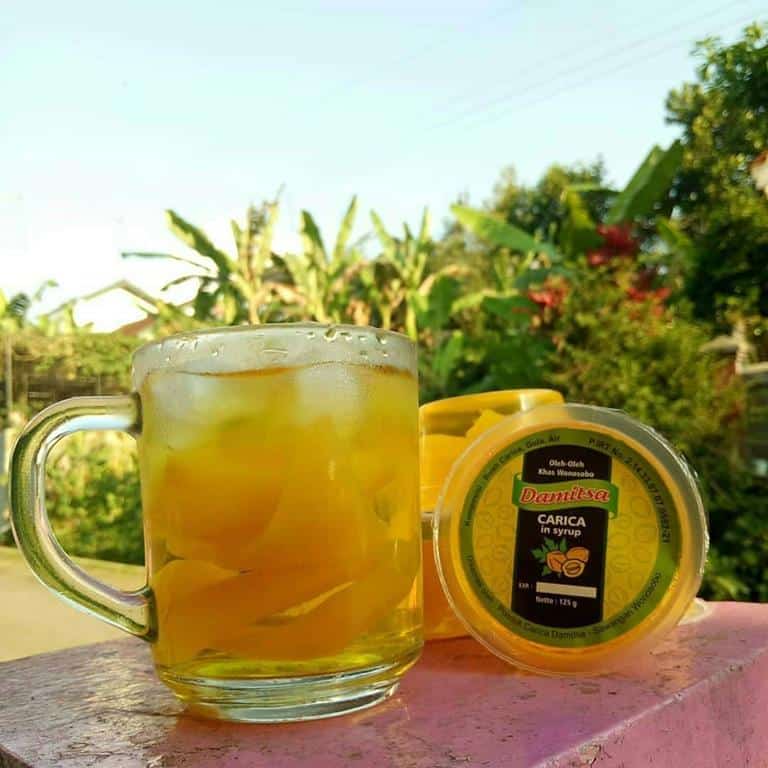 Carica, 1. Mie Ongklok, 2. Dendeng Gepuk, 3. Tempe Kemul, 4. Geblek, 5. Keripik Jamur, 6. Carica, 7. Sagon, 8. Sego Megono, 9. Opak Singkong, 10. Kacang Dieng
