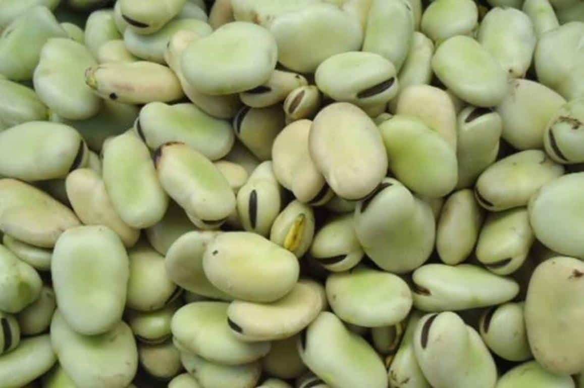 Kacang Dieng, 1. Mie Ongklok, 2. Dendeng Gepuk, 3. Tempe Kemul, 4. Geblek, 5. Keripik Jamur, 6. Carica, 7. Sagon, 8. Sego Megono, 9. Opak Singkong, 10. Kacang Dieng