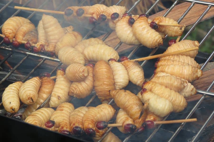1. Papeda, 2. Sate Ulat Sagu, 3. Ikan Bakar Manokwari, 4. Ikan Bungkus, 5. Aunuve Habre, 6. Udang Selingkuh, 7. Martabak Sagu, 8. Upacara Bakar Batu