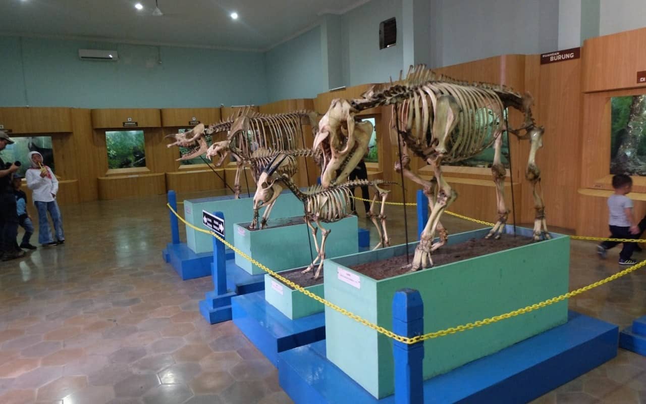 Museum Zoologi, 1. Taman Safari Indonesia, 2. Museum Zoologi, 3. Pelita Desa, 4. Taman Buah Mekarsari, 5. Agroedutourism IPB, 6. Kampung Horta, 7. Kampung Budaya Sindangbarang, 8. Kampoeng Bamboe, 9. Kampoeng Wisata Cinangneng, 10. Sentulfresh