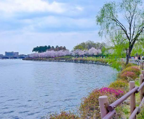 1. Taman Namsan, 2. Taman Nasional Gyeongju, 3. Taman Yeouido Hangang, 4. Taman Songpanaru, 5. Taman Ilsan, 6. Taman Jehwangsan, 7. Taman Ssangyesa Temple Simni Cherry Blossom, 8. Taman Seomjin River Train Village, 9. Taman Olympic, 10. Taman Pyeonghwa Nuri