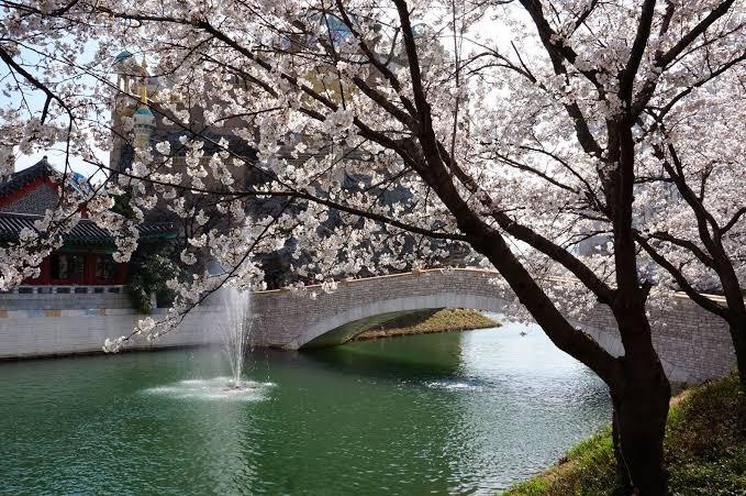 1. Taman Namsan, 2. Taman Nasional Gyeongju, 3. Taman Yeouido Hangang, 4. Taman Songpanaru, 5. Taman Ilsan, 6. Taman Jehwangsan, 7. Taman Ssangyesa Temple Simni Cherry Blossom, 8. Taman Seomjin River Train Village, 9. Taman Olympic, 10. Taman Pyeonghwa Nuri
