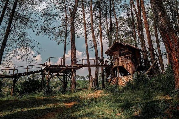 tempat wisata di Bandung_Hutan Pinus Rahong, Kawasan Bandung Kota, Kawasan Lembang, Kawasa Dago dan Bandung Utara, Kawasan Cimahi dan Bandung Barat, Kawasan Soreang dan Ciwidey, Kawasan Pangalengan