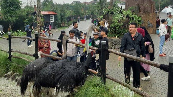 tempat wisata di Bandung_Lembang Park and Zoo, Wahana dan Spot Populer, Harga Tiket Masuk & Jam Operasional Lembang Park & Zoo, Fasilitas, Alamat dan Akses Transportasi, Hotel di Sekitar Lembang Park and Zoo