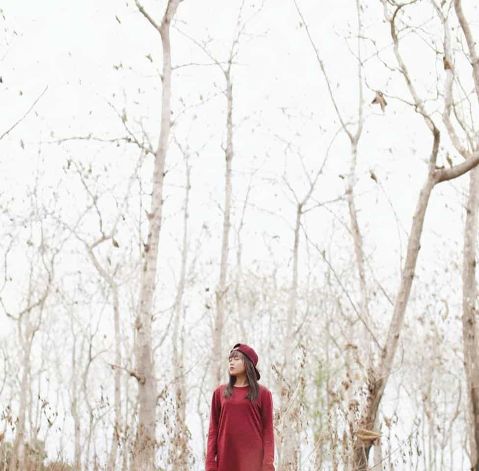 1. Hutan De Djawatan, 2. Taman Nasional Baluran, 3. Hutan Mangrove Bedul Ecotourism, 4. Hutan Pinus Songgon, 5. Taman Nasional Alas Purwo, 6. Hutan Curah Jati, 7. Rawa Bayu