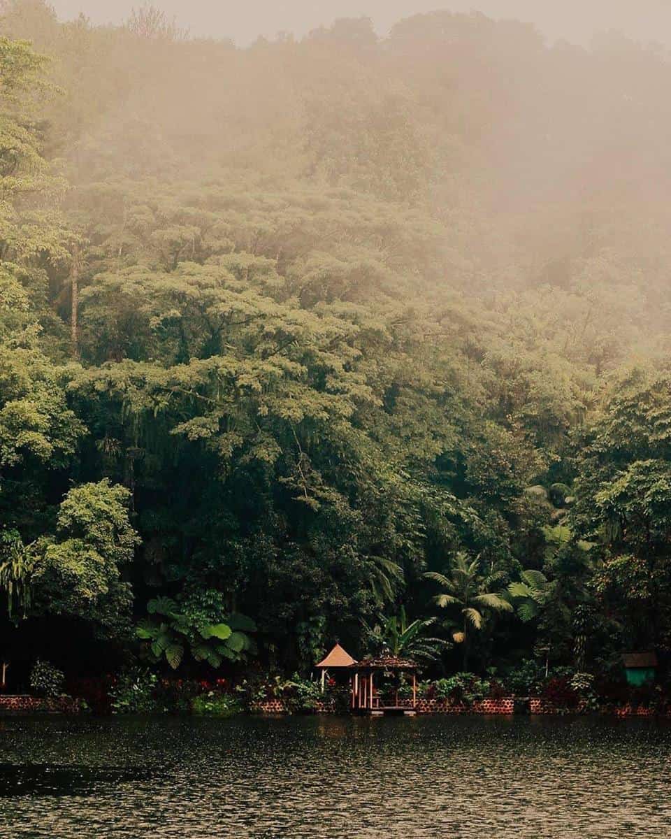 1. Hutan De Djawatan, 2. Taman Nasional Baluran, 3. Hutan Mangrove Bedul Ecotourism, 4. Hutan Pinus Songgon, 5. Taman Nasional Alas Purwo, 6. Hutan Curah Jati, 7. Rawa Bayu