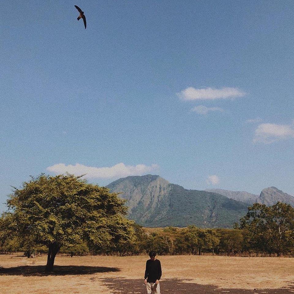 1. Hutan De Djawatan, 2. Taman Nasional Baluran, 3. Hutan Mangrove Bedul Ecotourism, 4. Hutan Pinus Songgon, 5. Taman Nasional Alas Purwo, 6. Hutan Curah Jati, 7. Rawa Bayu
