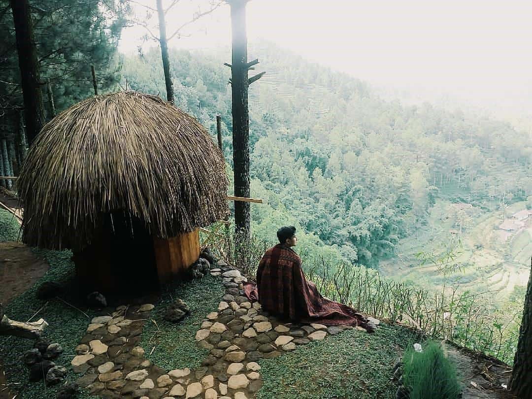 Hutan Gua Pinus Pujon, 1. Hutan Pinus Semeru, 2. Hutan Alas Purwo, 3. Hutan De Djawatan, 4. Hutan Pinus Gemaharjo, 5. Hutan Pinus Nongko Ijo, 6. Hutan Pinus Gogonoti, 7. Hutan Curah Jati, 8. Hutan Mangrove Pancer Cengkrong, 9. Hutan Gua Pinus Pujon, 10. Wisata Akar Langit Trinil
