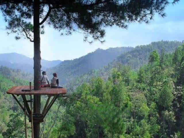 Hutan Pinus Gemaharjo, 1. Hutan Pinus Semeru, 2. Hutan Alas Purwo, 3. Hutan De Djawatan, 4. Hutan Pinus Gemaharjo, 5. Hutan Pinus Nongko Ijo, 6. Hutan Pinus Gogonoti, 7. Hutan Curah Jati, 8. Hutan Mangrove Pancer Cengkrong, 9. Hutan Gua Pinus Pujon, 10. Wisata Akar Langit Trinil