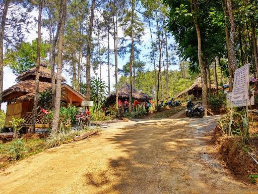 Hutan Pinus Gogonoti, 1. Hutan Pinus Semeru, 2. Hutan Alas Purwo, 3. Hutan De Djawatan, 4. Hutan Pinus Gemaharjo, 5. Hutan Pinus Nongko Ijo, 6. Hutan Pinus Gogonoti, 7. Hutan Curah Jati, 8. Hutan Mangrove Pancer Cengkrong, 9. Hutan Gua Pinus Pujon, 10. Wisata Akar Langit Trinil