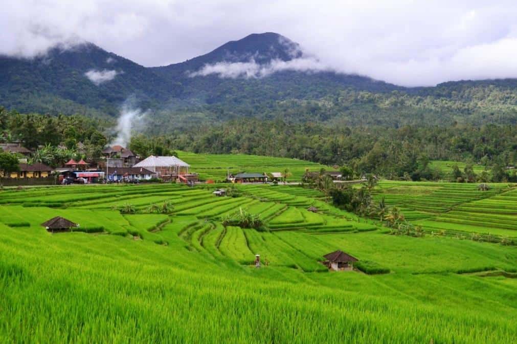 Jatiluwih, 1. Danau Beratan, 2. Danau Tamblingan, 3. Kebun Raya Bedugul, 4. Danau Buyan, 5. Pura Ulun Danu Beratan, 6. Kebun Strawberry Bedugul, 7. Taman Wisata Bali TreeTop, 8. Jatiluwih, 9. Pasar Candi Kuning
