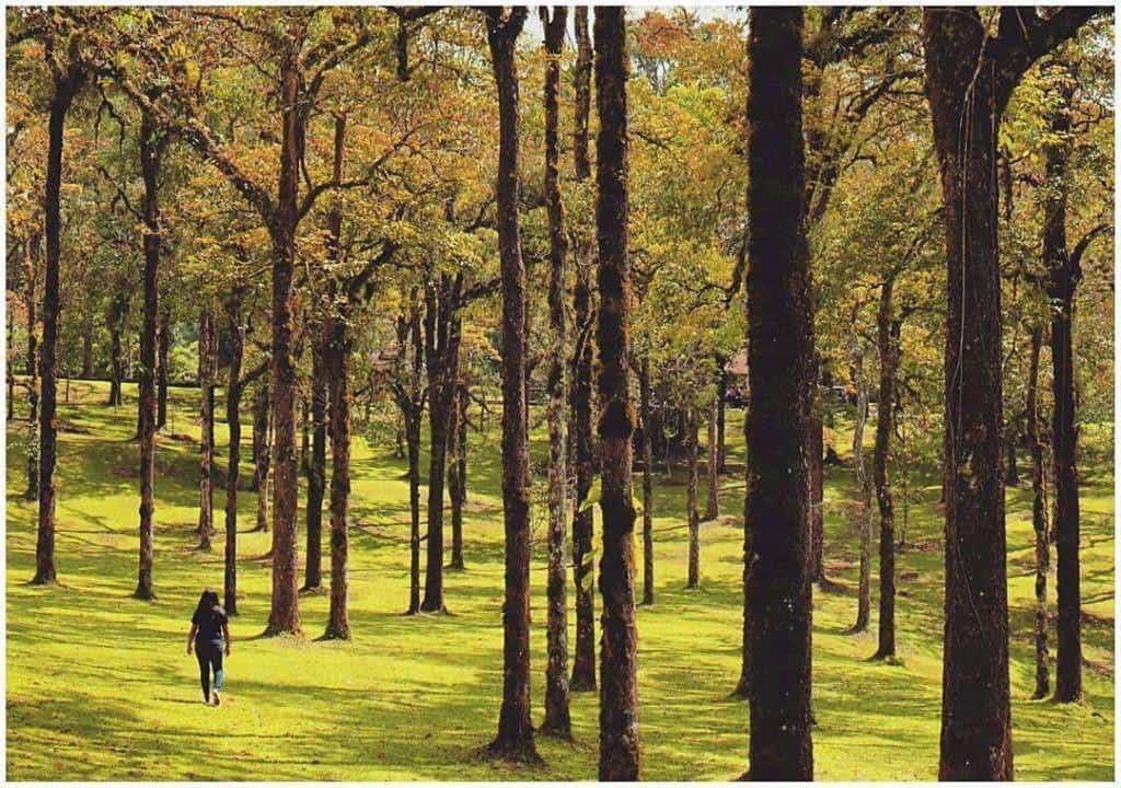Kebun Raya Bedugul, 1. Danau Beratan, 2. Danau Tamblingan, 3. Kebun Raya Bedugul, 4. Danau Buyan, 5. Pura Ulun Danu Beratan, 6. Kebun Strawberry Bedugul, 7. Taman Wisata Bali TreeTop, 8. Jatiluwih, 9. Pasar Candi Kuning