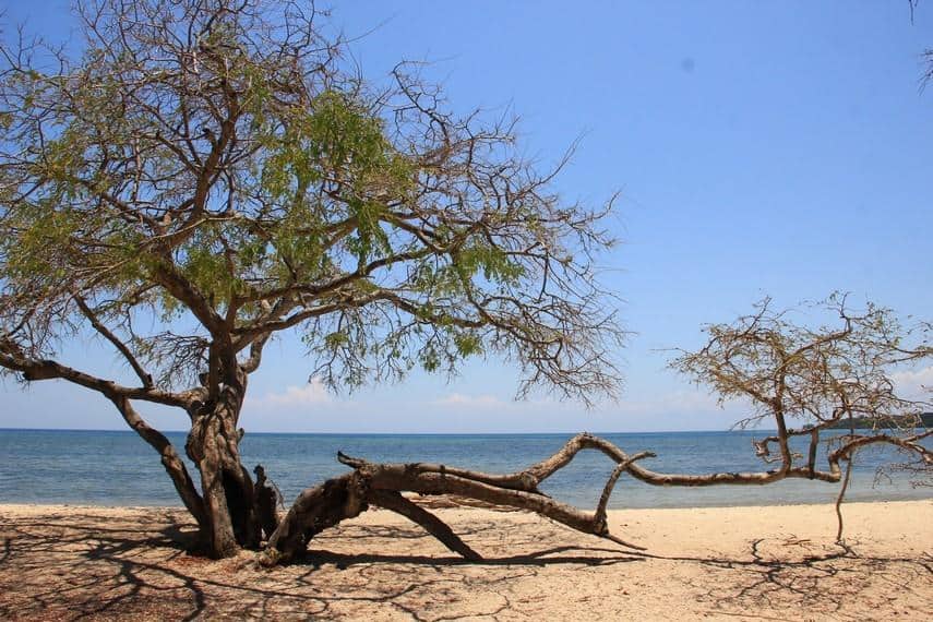 Pantai Bama, 1. Pantai Bilik Sijile, 2. Gunung Ringgit, 3. Samir Rafting, 4. Pantai Pasir Putih, 5. Kampung Kerapu, 6. Gunung Argopuro, 7. Taman Nasional Baluran, 8. Pantai Bama, 9. Pantai Balanan