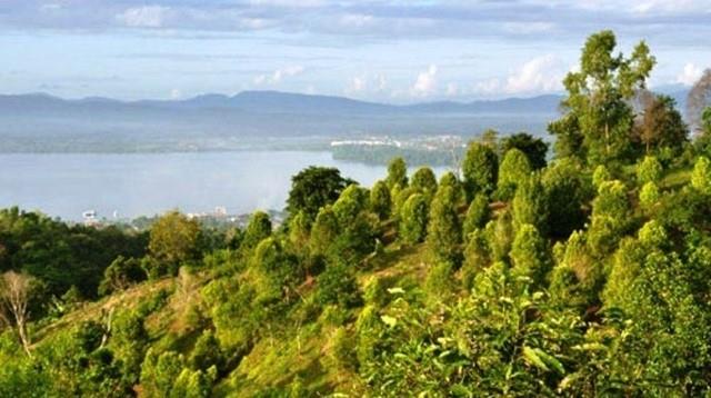 Pegunungan Nipa-Nipa, 1. Pantai Nambo, 2. Hutan Mangrove Bungkutoko, 3. Taman Teratai, 4. Kebun Raya Kendari, 5. Puncak Saiful Tamburaka, 6. Taman Kota Kendari, 7. Pulau Hari, 8. Pegunungan Nipa-Nipa, 9. Waterpark Citraland