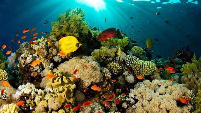Taman Laut Tumbak, 1. Danau Linow, 2. Pulau Siladen, 3. Bukit Kasih, 4. Pulau Manado Tua, 5. Gunung Tumpa, 6. Taman Laut Tumbak, 7. Pulau Lembeh, 8. Pulau Lihaga, 9. Gunung Dua Saudara, 10. Taman Nasional Bunaken