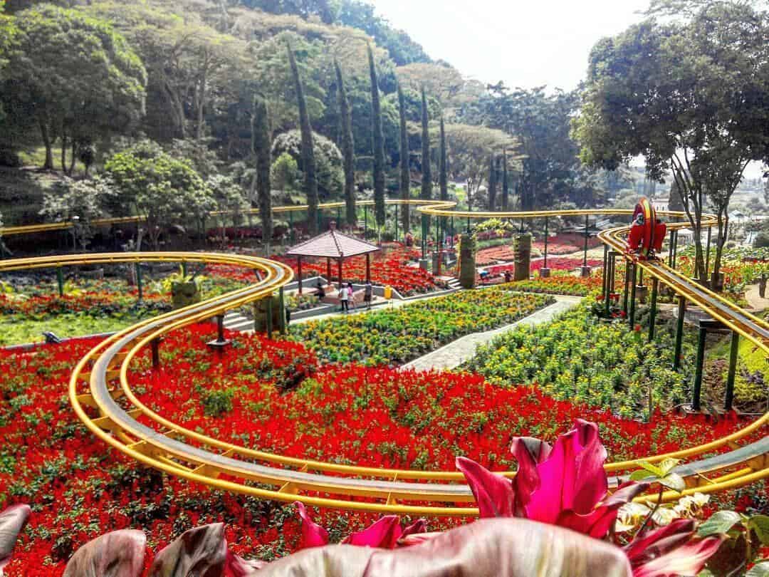 Taman Selecta, 1. Taman Edukasi Rolak Kedungkandang, 2. Desa Wisata Edukasi Ngabab, 3. Museum Brawijaya, 4. Kampoeng Wisata Keramik Dinoyo, 5. Milkindo Green Farm, 6. Museum Angkut, 7. Jawa Timur Park 2, 8. Taman Selecta, 9. Taman Langit Gunung Banyak, 10. Predator Fun Park