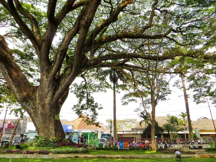 Taman Trunojoyo, 1. Alun-Alun Tugu, 2. Taman Trunojoyo, 3. Kampung Tridi, 4. Kampung Warna-Warni Jodipan, 5. Kampung Biru Arema, 6. Brawijaya Edupark Senaputra, 7. Kampoeng Heritage Kajoetangan, 8. Alun-Alun Kota Malang, 9. Masjid Agung Jami’ Kota Malang