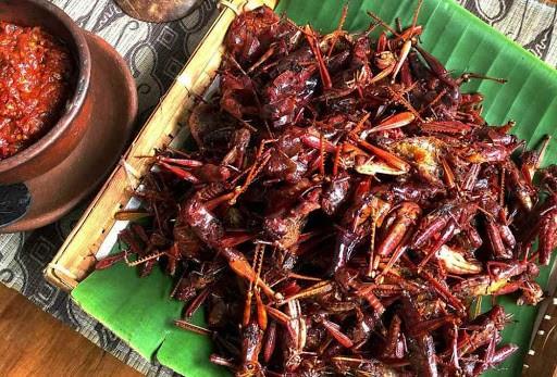 Walang Goreng, 1. Walang Goreng, 2. Jangan Lombok Ijo Gunungkidul, 3. Sate Ayam Kampung, 4. Oseng Bunga Pepaya, 5. Sego Abang, 6. Gathot, 7. Nasi Tiwul, 8. Urap Trancam, 9. Sambal Bawang, 10. Sambal Goreng Krecek Tempe