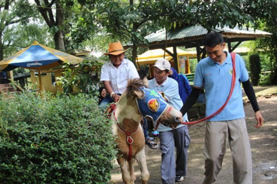 Naik Kuda, Wahana dan Spot Populer di Kebun Binatang Bandung, Koleksi Satwa, Harga Tiket dan Jam Operasional, Fasilitas di Kebun Binatang Bandung, Alamat dan Akses Transportasi, Hotel dan Penginapan Sekitar Kebun Binatang Bandung