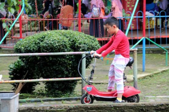 Naik Skuter, Wahana dan Spot Populer di Kebun Binatang Bandung, Koleksi Satwa, Harga Tiket dan Jam Operasional, Fasilitas di Kebun Binatang Bandung, Alamat dan Akses Transportasi, Hotel dan Penginapan Sekitar Kebun Binatang Bandung