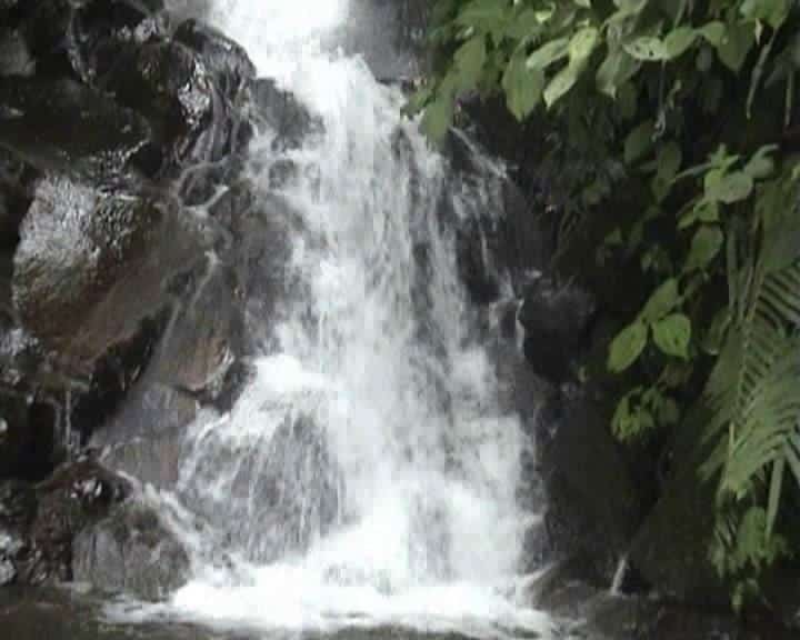 Curug Cikahuripan, Spot Menarik, Fasilitas, Harga Tiket Masuk dan Jam Operasional, Alamat dan Akses Transportasi, Penginapan di Sekitar Gunung Puntang