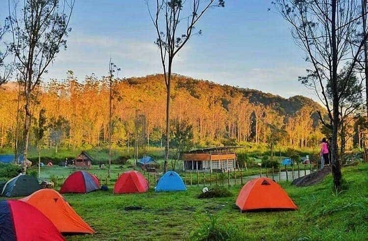 Camping, Wahana &amp; Spot Populer di Ranca Upas, Fasilitas di Ranca Upas Ciwidey, Harga Tiket Masuk &amp; Jam Operasional Ranca Upas, Alamat &amp; Akses Transportasi ke Ranca Upas,  Hotel Sekitar Ranca Upas Ciwidey
