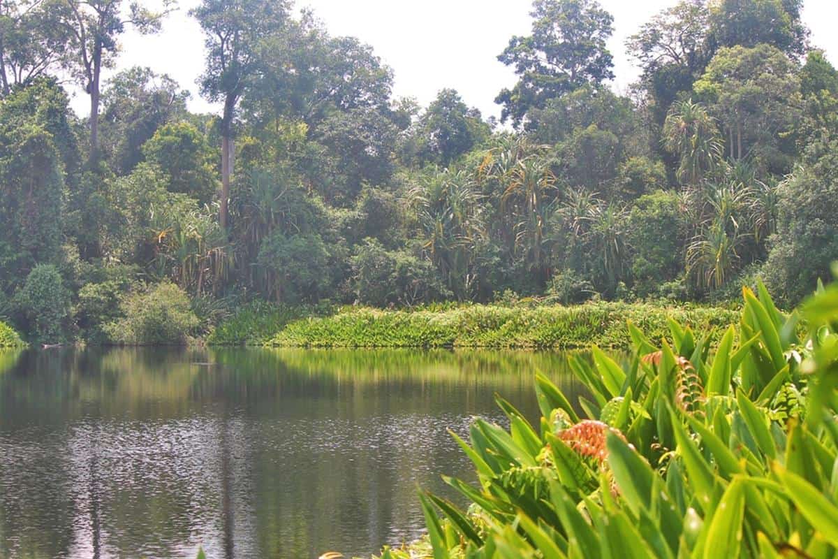 Danau Naga Sakti, 1. Riau Fantasi, 2. Taman Nasional Bukit Tiga Puluh, 3. Air Terjun Aek Martua, 4. Rumah Singgah Sultan Siak, 5. Taman Nasional Zamrud, 6. Situs Candi Muara Takus, 7. Masjid Jami Air Tiris, 8. Danau Naga Sakti, 9. Istana Siak Sri Inderapura, 10. Ulu Kasok