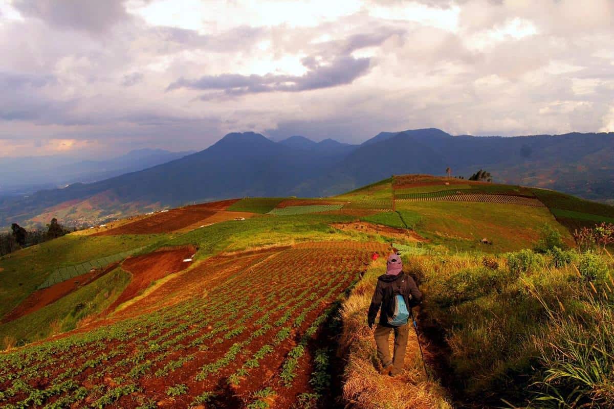 Fasilitas , Spot Menarik di Gunung Artapela, Fasilitas , Harga Tiket Masuk dan Jam Operasional, Alamat dan Akses Transportasi, Hotel Sekitar Gunung Artapela