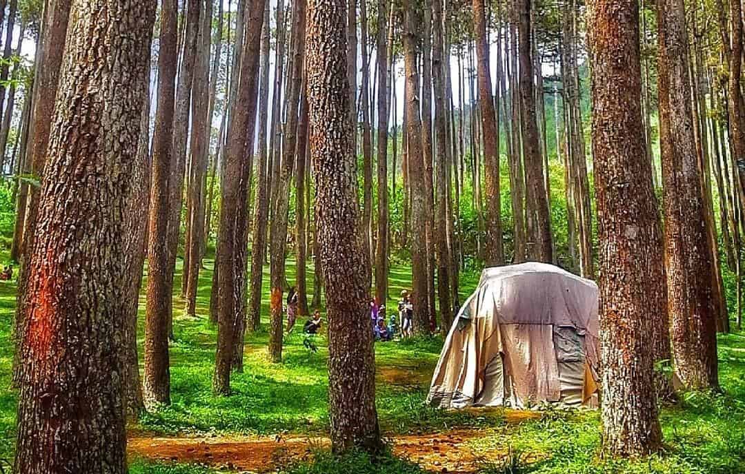 Harga Tiket Masuk dan Jam Operasional, Spot Menarik di Gunung Manglayang, Fasilitas, Harga Tiket Masuk dan Jam Operasional, Alamat dan Akses Transportasi, Penginapan Sekitar Gunung Manglayang