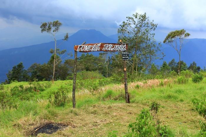 Puncak Sulibra, Spot Menarik di Gunung Artapela, Fasilitas , Harga Tiket Masuk dan Jam Operasional, Alamat dan Akses Transportasi, Hotel Sekitar Gunung Artapela